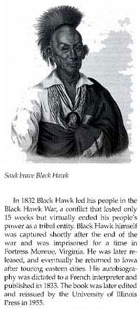Picture of Black Hawk
