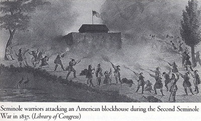 Picture of Seminole Wars