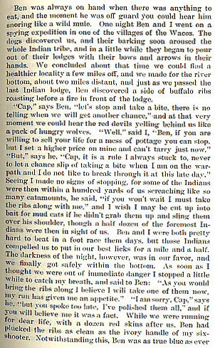 Indians Attack the Mail Coach story from the book Indian Depredations in Texas by J. W. Wilbarger