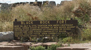 Picture of Black Rock Fort