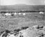 Thumbprint picture of Black Butte Station