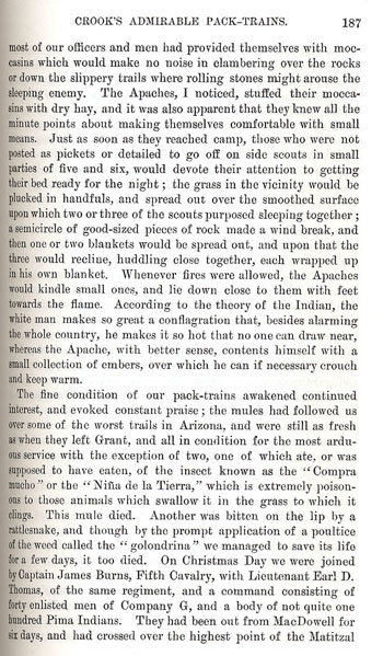 On the Border With Crook - Chapter 10