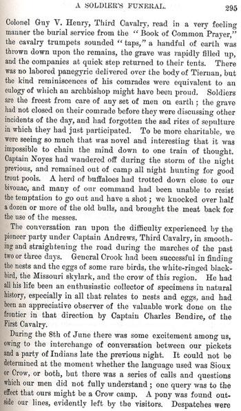 On the Border With Crook - Chapter 17