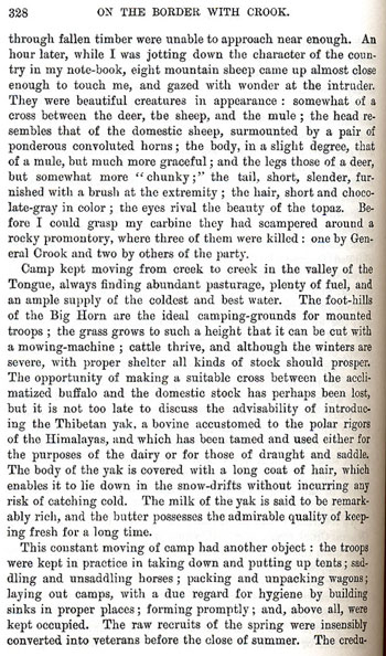 On the Border With Crook - Chapter 19