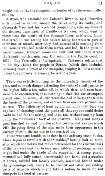 On the Border With Crook - Chapter 1