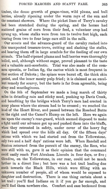 On the Border With Crook - Chapter 21