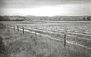 Picture of Clearwater River Battle Site