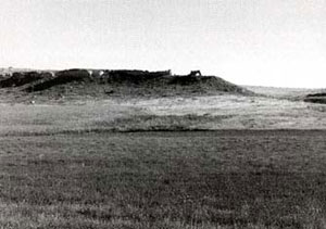 Picture of Elephant Rock