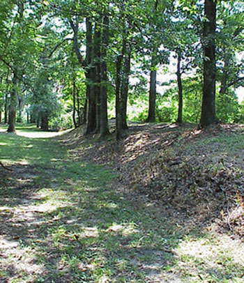 Picture of Fort Cobun Earthworks