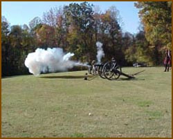 Picture of Cannons at Fort Pillow State Park