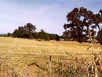 Picture of Fort Reading Site