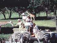 Fossil Rim Wildlife Park Picture