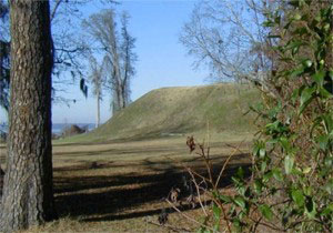 Picture of Fort Watson