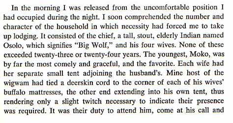 Three Years Among the Comanches - Torture