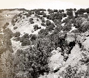 Picture of Massacre Rocks