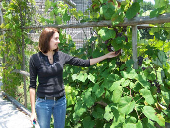 Picture of Entrance to Fort Parker