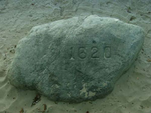 Picture of Plymouth Rock