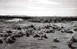 Picture of Powder River Battle Site