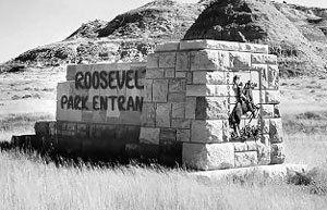 Picture of Entrance to Theodore Roosevelt Park