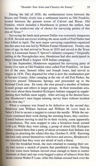 Surveyor's Fight Story