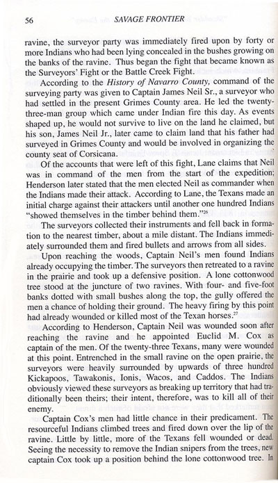 Surveyor's Fight Story