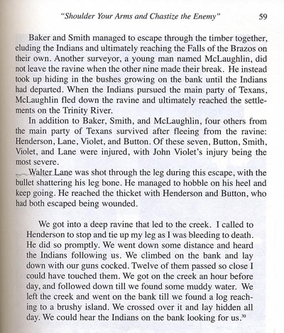 Surveyor's Fight Story