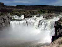 Picture of Shoshone Falls