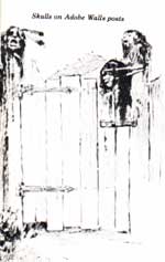 Picture of Displayed Skulls 
