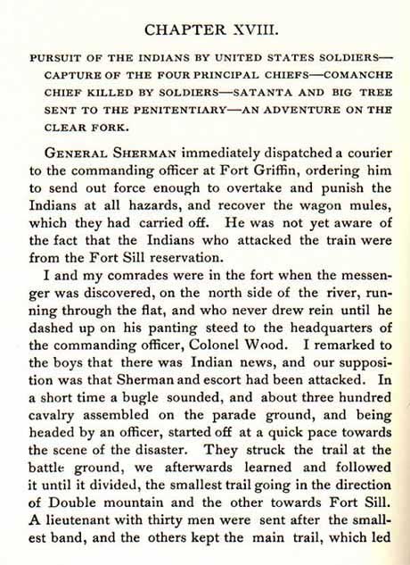 Pursuit of the Indians