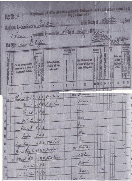 1870 Stephens County Census