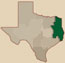 Texas Forest Trail Region