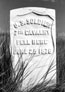 Picture of Custer Battlefield Tombstone